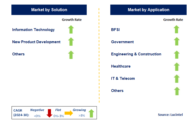 Project Portfolio Management by Segment